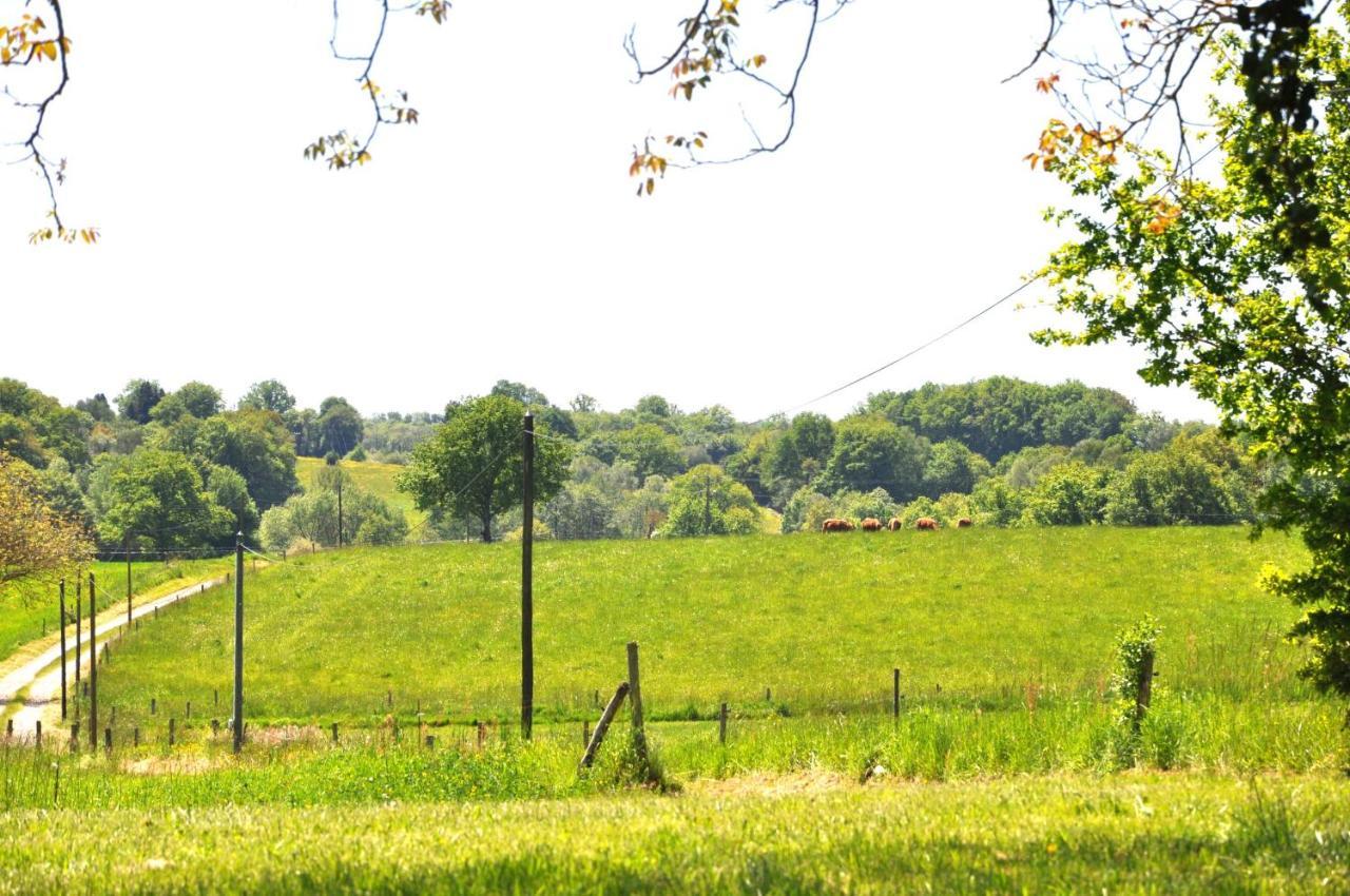Domaine Du Castellare Bed & Breakfast Le Chalard Exterior photo